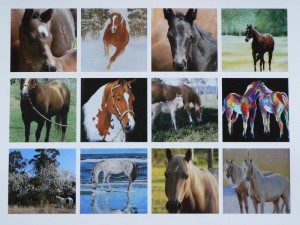 FREE-2014-Ultimate-Horse-Care-Calendar-by-Farnam