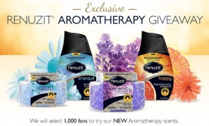 free-renuzit-aromatherapy-cone-giveaway