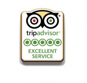 free-tripadvisor-pins