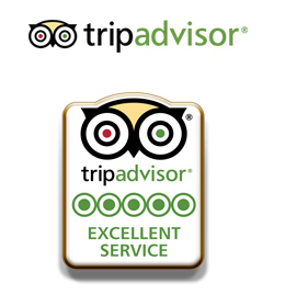 TripAdvisor-Pin