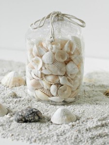 Bag-Of-Seashells4