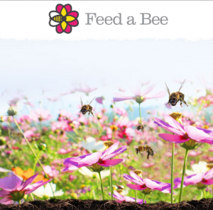 feed-a-bee